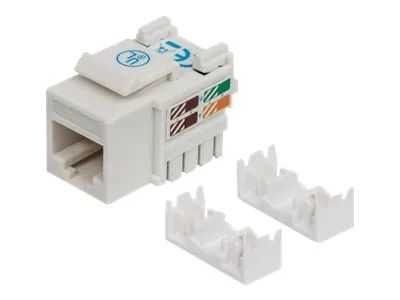 IC Intracom Intellinet Cat6 Modularbuchse, UTP, Keystone