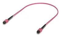 Ubiquiti Indoor OM4 multi – mode fiber patch cable with MPO – 12 Type – Kabel – Netzwerk 0, 5 m