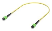 Ubiquiti Indoor OS2 single – mode fiber patch cable with MPO – 12 Type – Kabel – Netzwerk 0, 5 m