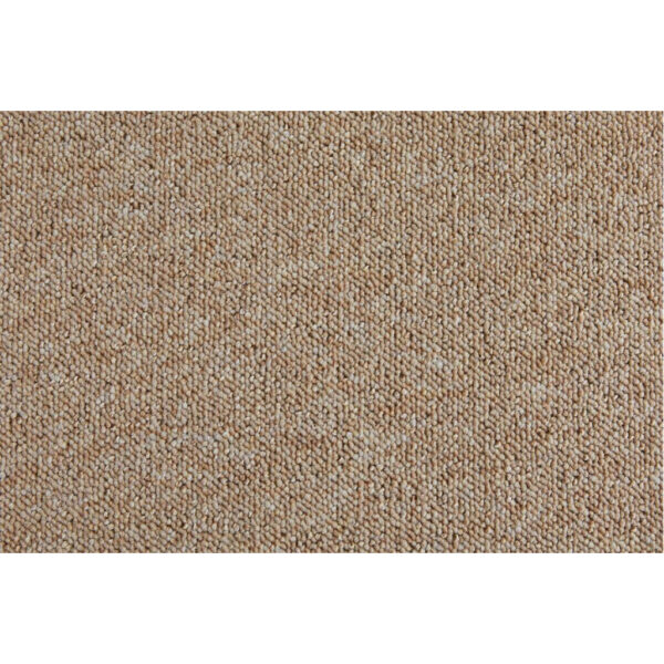 Teppichboden Rico
beige B/L: ca. 200x500 cm pro Stück