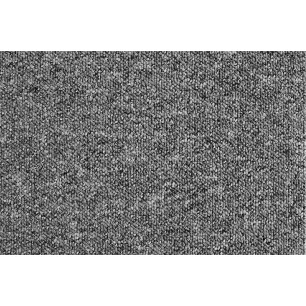 4002398241184-1 Teppichboden Rico
grau B/L: ca. 200x500 cm pro Stück