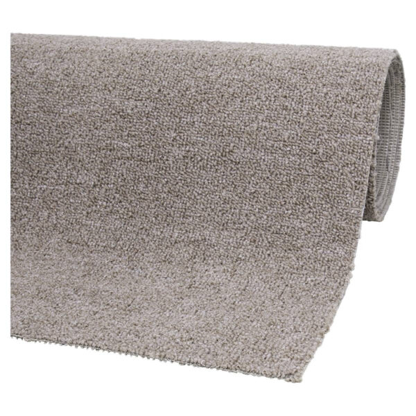 4002398974723-1 Teppichboden Mirabell
beige B/L: ca. 400x400 cm pro Stück