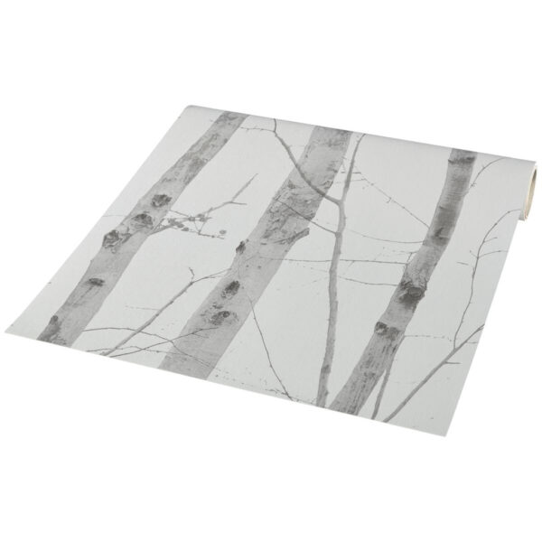Vliestapete
Birkenwald grau creme B/L: ca. 53x1005 cm