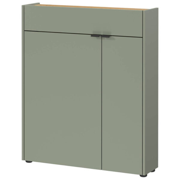 Mehrzweckschrank 1319-629
grün Eiche Navarra Nachbildung B/H/T: ca. 82x102x22 cm