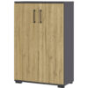 Germania Aktenschrank 4247-564 Eiche Grand-Son Nachbildung Graphit B/H/T: ca. 80x123x40 cm Germania Aktenschrank 4247-564 Eiche Grand-Son Nachbildung Graphit B/H/T: ca. 80x123x40 cm