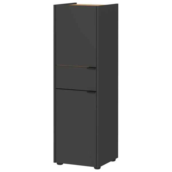 Germania Schrank 4498-549 Graphit Eiche Navarra Nachbildung B/H/T: ca. 34x111x34 cm