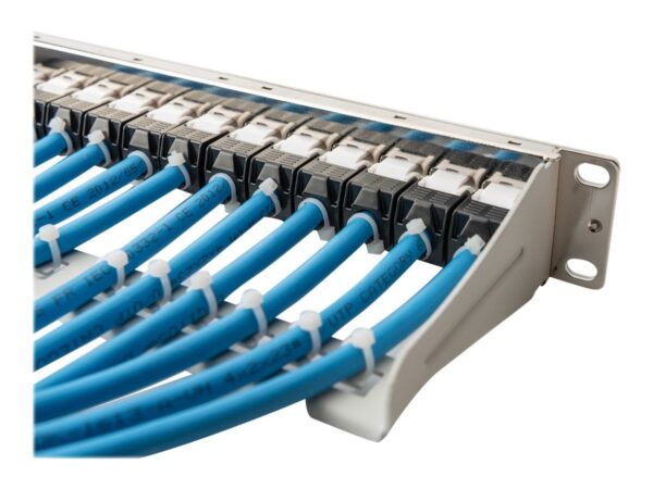 4016032455561-1 DIGITUS Modular Patch Panel, 12 – Port