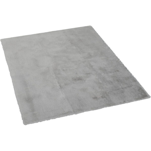 4025442273696 Teppich Buggy
silber B/L: ca. 160x220 cm