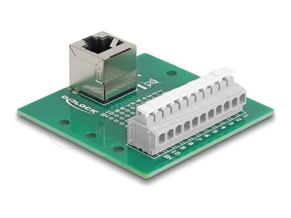 Delock Netzwerkadapter – RJ – 50 (W) gewinkelt