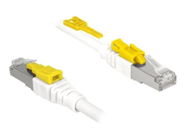 Delock Secure – Patch – Kabel – RJ – 45 (M) bis RJ – 45 (M)