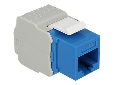 Delock Keystone module – Modulare Eingabe – RJ – 45