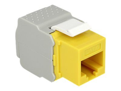 Delock Keystone module – Modulare Eingabe – RJ – 45