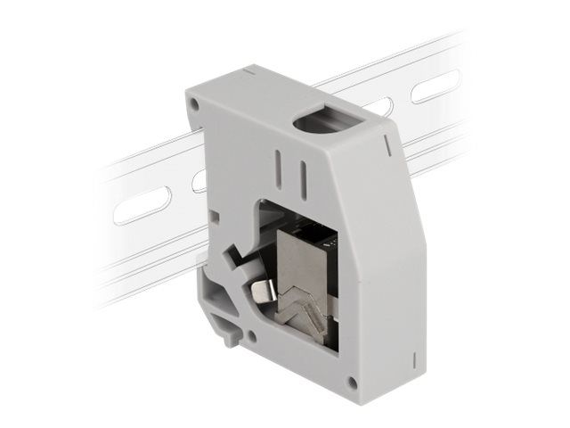 Delock DIN – Schienenmontageadapter – mit Keystone – Modul