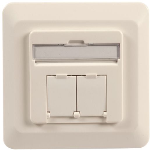 4049759149666-1 R – TEC DATENDOSE KAT6 2XRJ45 RAL9010 / RTEC – P DD6UP ET – 25211.2V1
