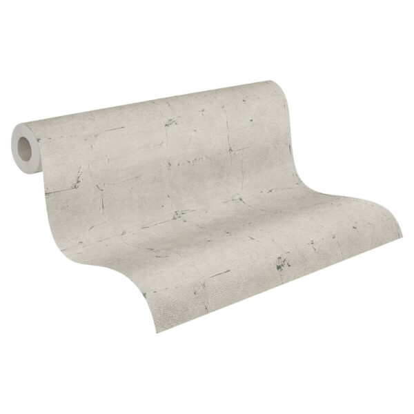 A.S.Creation Vliestapete
beige B/H/D: ca. 53x1005x7,6 cm