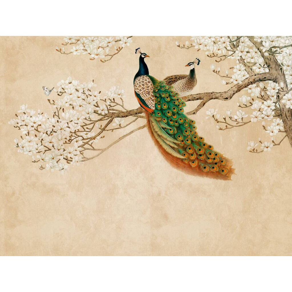 Livingwalls Fototapete
Pfau orange beige weiß B/L: ca. 280×371 cm
