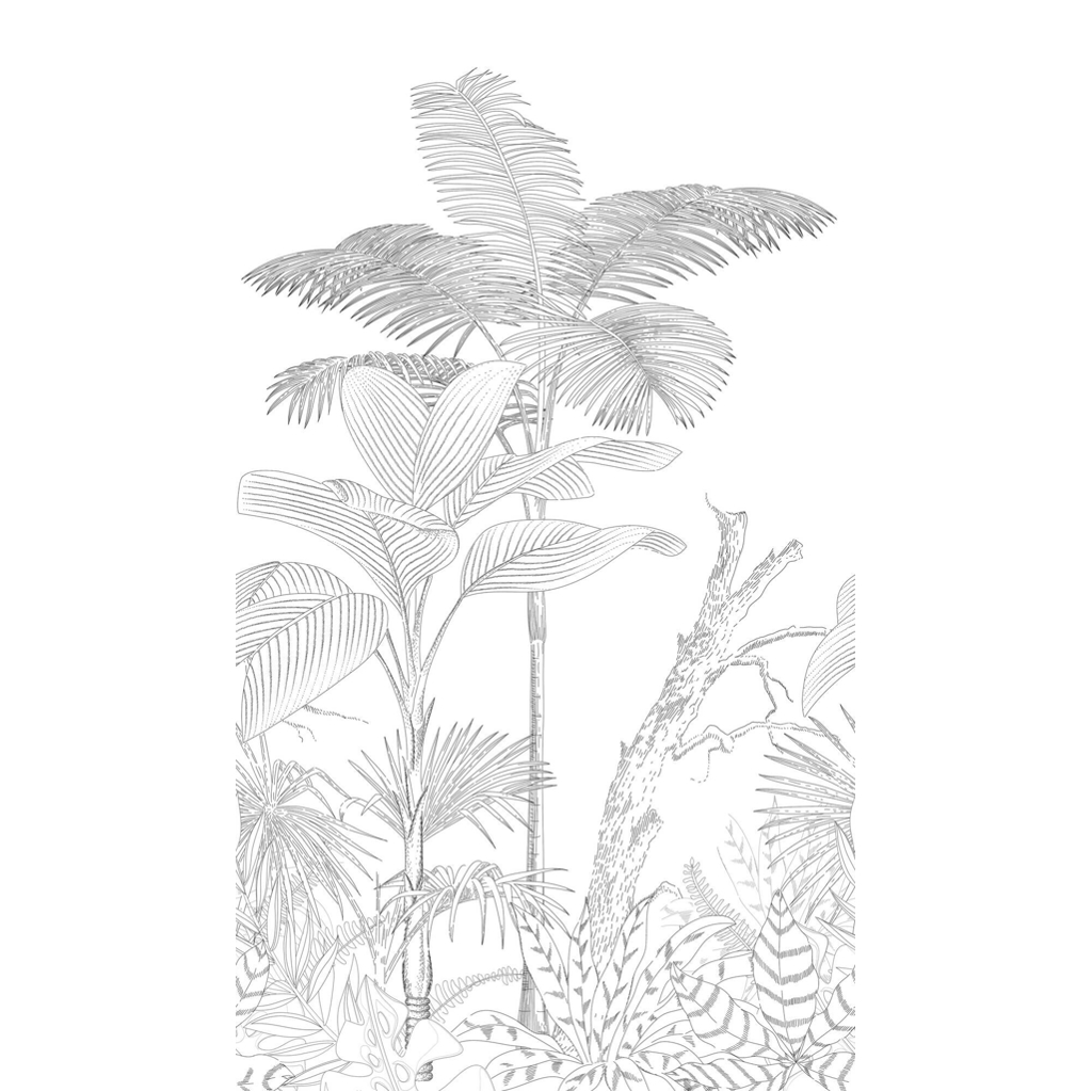 Livingwalls Fototapete
Palmen weiß schwarz B/L: ca. 280×159 cm