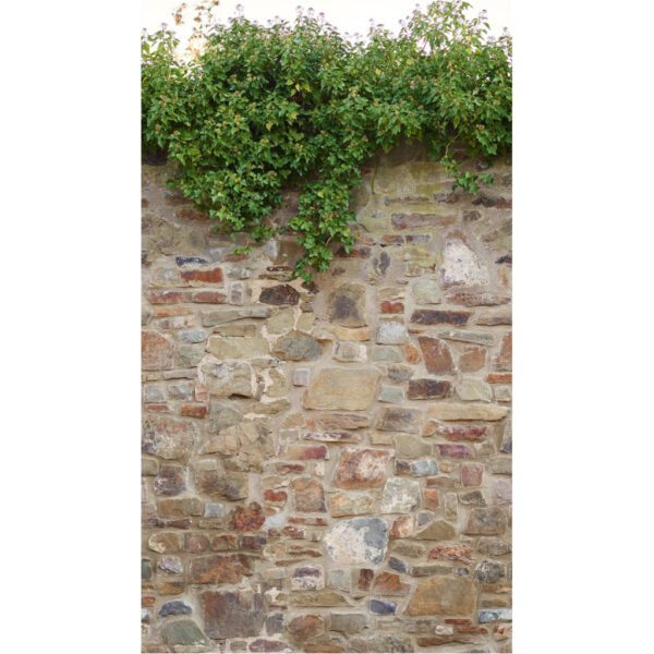 Livingwalls Fototapete
Steinoptik beige grün braun B/L: ca. 280x159 cm
