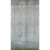 Livingwalls Fototapete Betonoptik grau grün B/L: ca. 280x159 cm