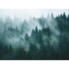 Livingwalls Fototapete Nebelwald grün petrol blau B/L: ca. 280x371 cm