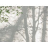 Livingwalls Fototapete Blätter weiß grün B/L: ca. 280x371 cm