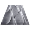 Ayyildiz Teppich PARMA schwarz B/L: ca. 80x150 cm