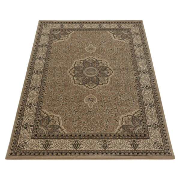 4058819094587-1 Ayyildiz Teppich KASHMIR
beige B/L: ca. 80x150 cm