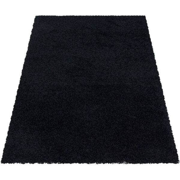 4058819096789-1 Ayyildiz Teppich SYDNEY
schwarz B/L: ca. 160x230 cm
