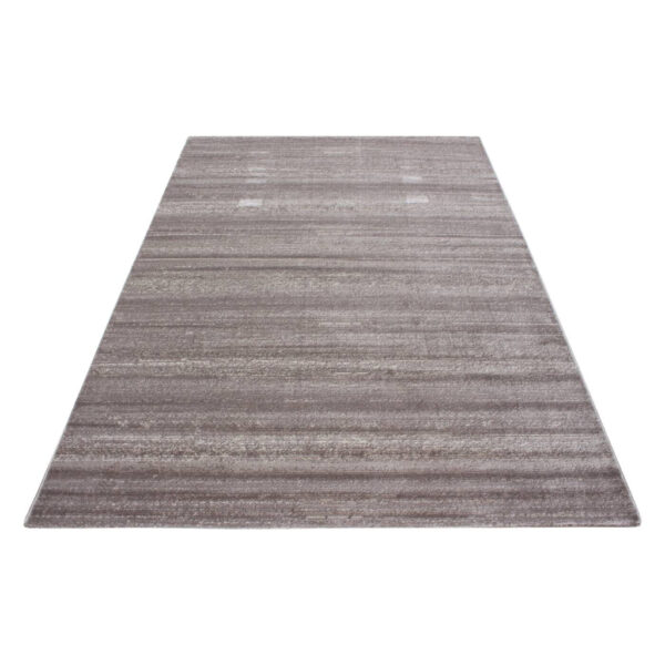 4058819137987-1 Ayyildiz Teppich PLUS
beige B/L: ca. 240x340 cm