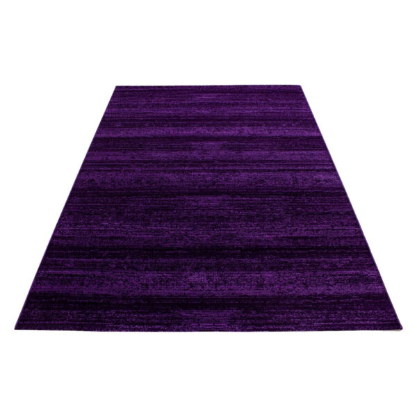 4058819138052-1 Ayyildiz Teppich PLUS
violett B/L: ca. 280x370 cm