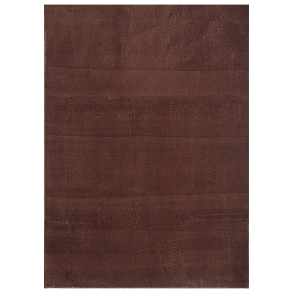 4058819140338-1 Ayyildiz Teppich SKY
braun B/L: ca. 120x170 cm