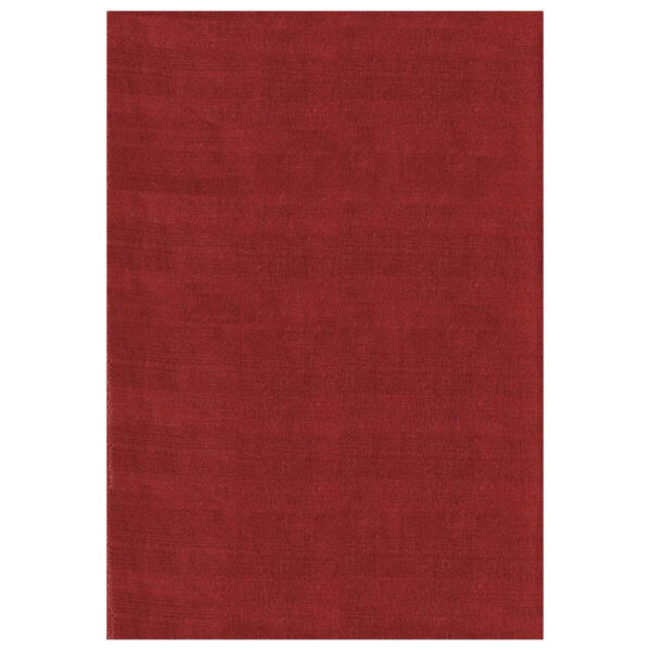 4058819140673-1 Ayyildiz Teppich SKY
rot B/L: ca. 140x200 cm
