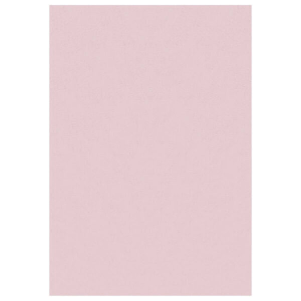 4058819141601 Ayyildiz Teppich SKY
rosa B/L: ca. 60x110 cm