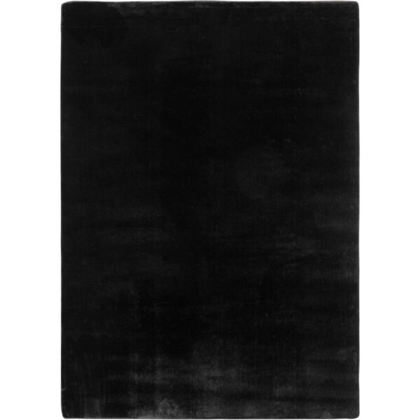 4058819155769-1 Ayyildiz Teppich JOY
schwarz B/L: ca. 160x220 cm