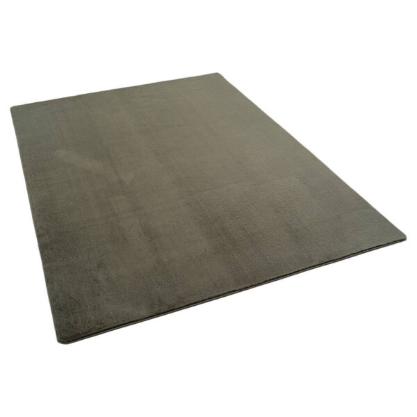 4058819155974-1 Teppich Joy
grün B/L: ca. 80x150 cm