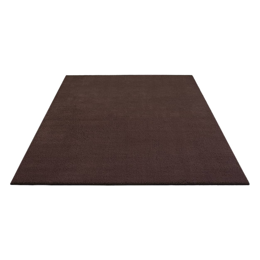 Teppich Loft
braun B/H/L: ca. 120x13x160 cm