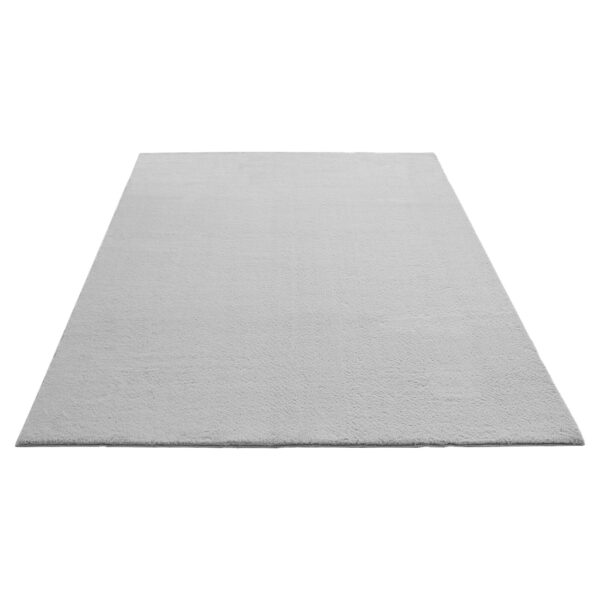 4065656131573-1 Teppich Cozy
grau B/H/L: ca. 80x12x300 cm