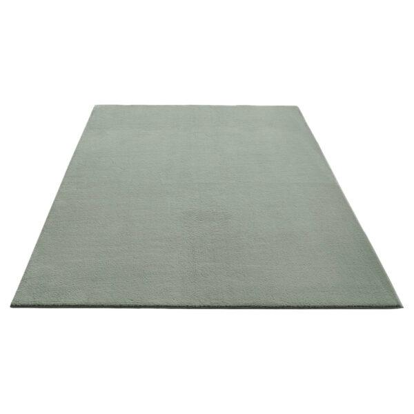 4065656131733 Teppich Cozy
grün B/H/L: ca. 120x13x160 cm