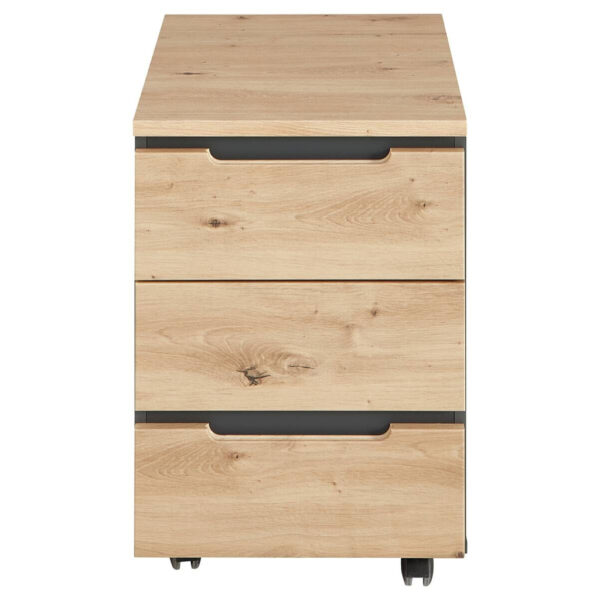 4250314559633 Rollcontainer Memphis
Eiche Artisan Nachbildung anthrazit B/H/T: ca. 45x66x55 cm