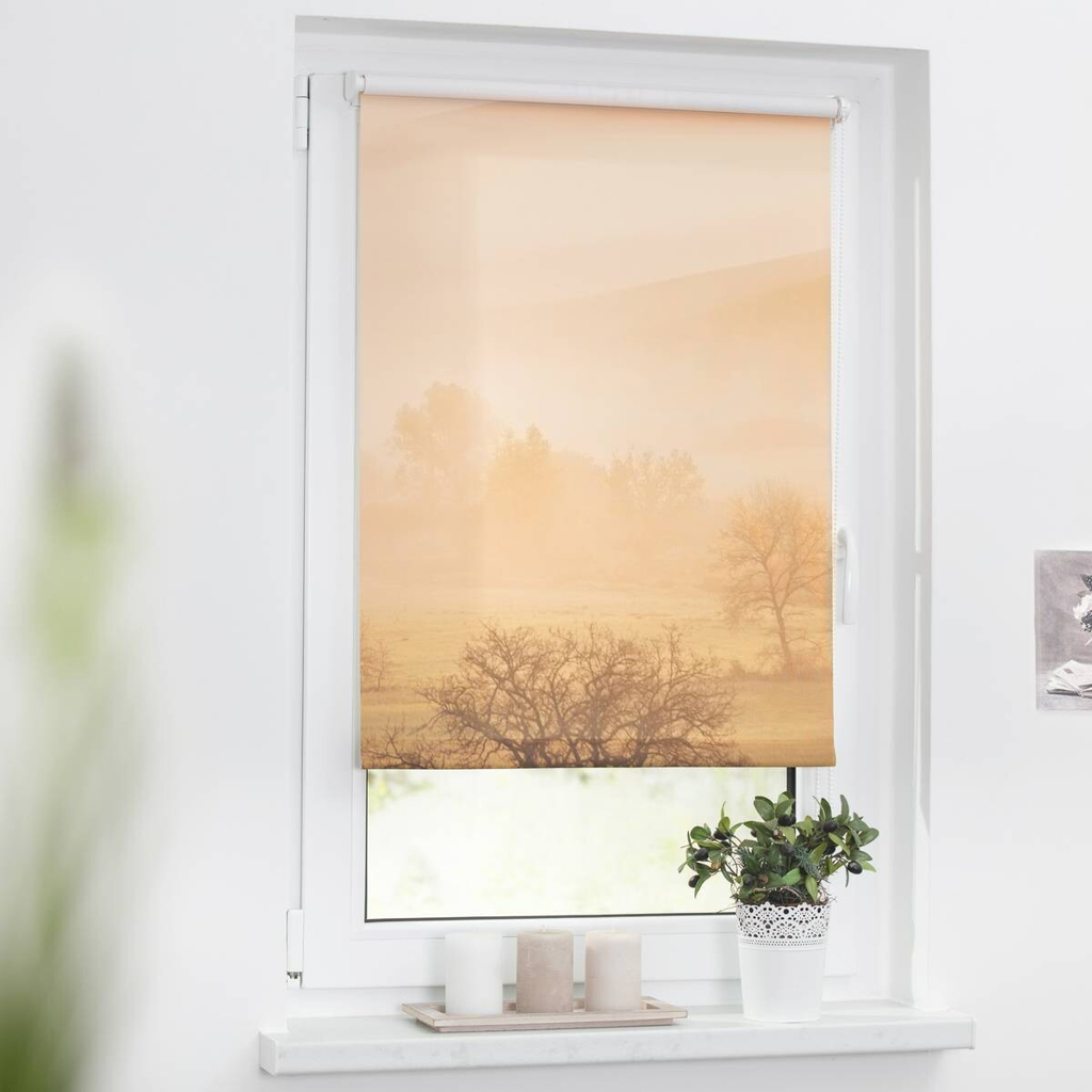 LICHTBLICK Rollo Toskana
orange B/L: ca. 60×150 cm