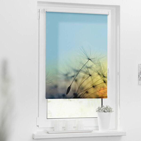 4250434120201 LICHTBLICK Rollo Pusteblume
blau B/L: ca. 60x150 cm