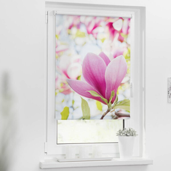 LICHTBLICK Rollo Magnolie
rosa B/L: ca. 80x150 cm