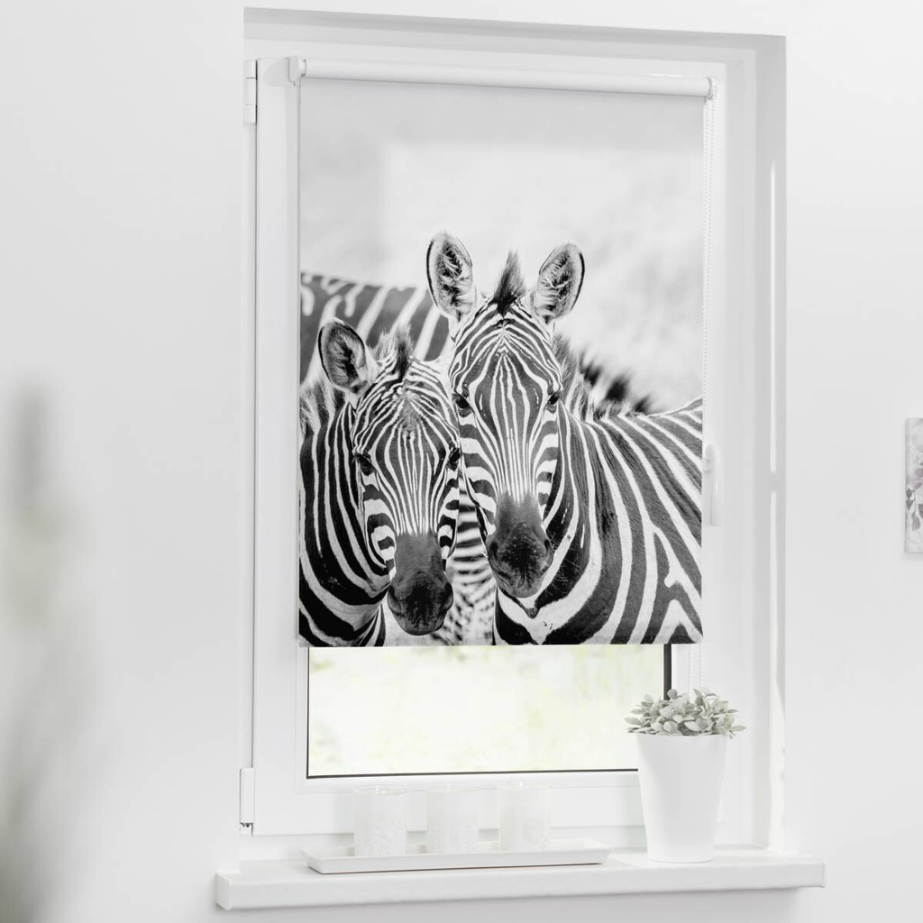 LICHTBLICK Rollo Zebra
schwarz B/L: ca. 120×150 cm