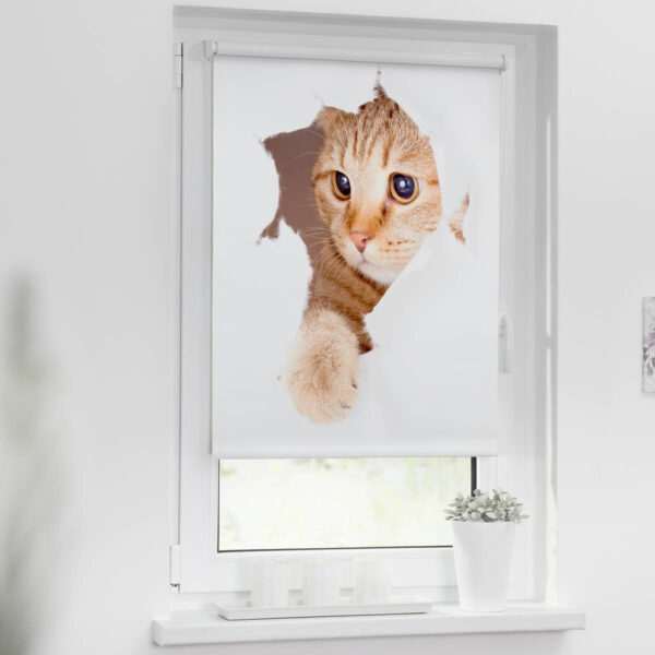 LICHTBLICK Verdunkelungsrollo Katze weiß – verschiedene Größen