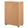 Wohnling Schuhschrank buche Nachbildung silber B/H/T: ca. 60x90x35 cm