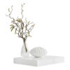 POCO Wandboard Shelvy 23 weiß hochglänzend B/H/T: ca. 24x4x24 cm