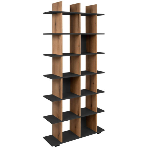POCO Regal Navas 20A Eiche Artisan Nachbildung anthrazit B/H/T: ca. 80x173x25 cm