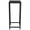 POCO Beistelltisch Vera schwarz lackiert Metall B/H/T: ca. 25x60x25 cm