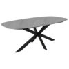 byLIVING Esstisch OVAL B/H/T: ca. 200x76x100 cm