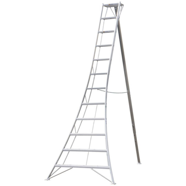 Niwaki Gartenleiter 3-Holm 3-Holm silber B/H: ca. 125x360 cm